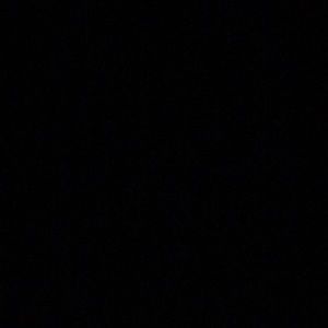 Meet your Posher, Max